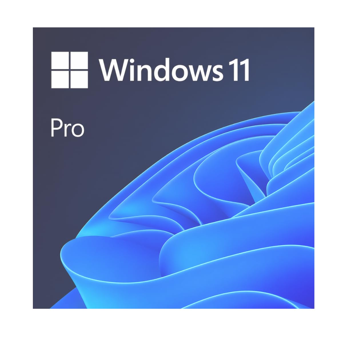 Windows 11 Pro OEM Activation Key (Internet Required for Downloading) Email Delivery in 24 Hours (Check Buyer/Seller Message) | Livraison par Email, Téléchargement Internet, Activation Numérique, Clé OEM
