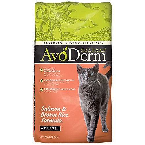 Avoderm Natural Salmon & Brown Rice Formula Dry Cat Food, 3.5-Pound