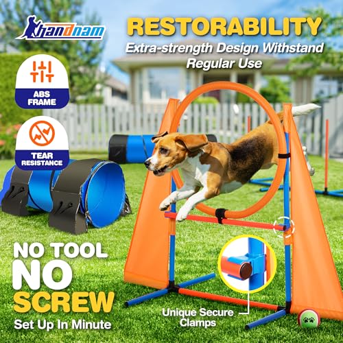 Dog-Agility-Course-Backyard-Set-Portable-Agility-Training-Equipment-for-Dogs-2-Tunnel-with-sandbags-2-Jumps-6-Weave-Poles-Pause-Box-More-Dog-Obstacle-Course-Kit-for-Indoor-and-Outdoor Dog Agility Course Backyard Set Portable Agility Training Equipment for Dogs 2 Tunnel with sandbags 2 Jumps 6 Weave Poles Pause Box More Dog Obstacle Course Kit for Indoor and Outdoor