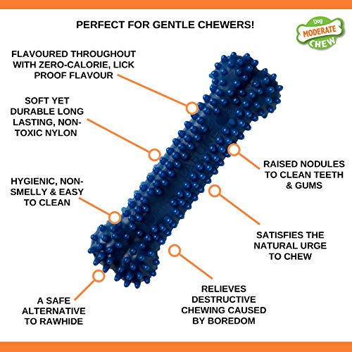 Nylabone Moderate Chew FlexiChew Dental Chew Toy Chicken Flavor Medium/Wolf - Up to 35 lbs.