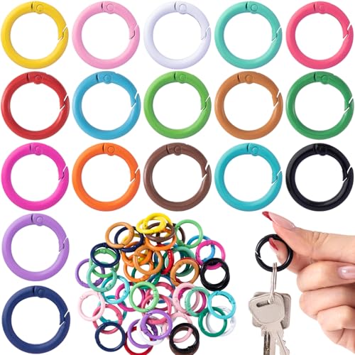 PAGOW 51pcs 25mm Colorful Spring O Rings, Round Metal Key