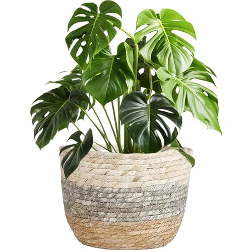 Panier de jardinière en osier imperméable style bohème chic - 7