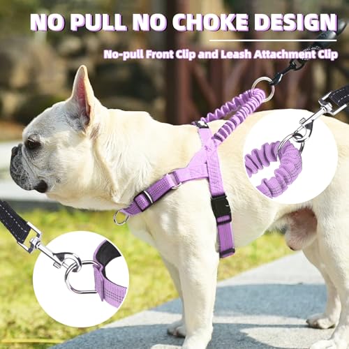 Image of PUPTECK No Pull Dog Harness Small Sized Dog, Adjustable Reflective Pet Vest Harness with Bungee Handle, Escape Proof No Choke Harness for Small Dogs Walking Training, Purple M