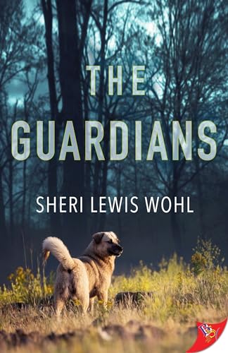 The Guardians view 2