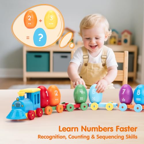 Image of hahaland Montessori Dinosaur Train Set, Learning Toy for Toddlers Ages 2-3