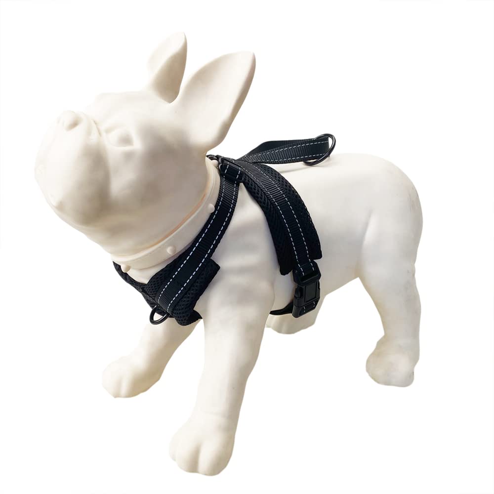 How Does A Non Pull Dog Harness Work