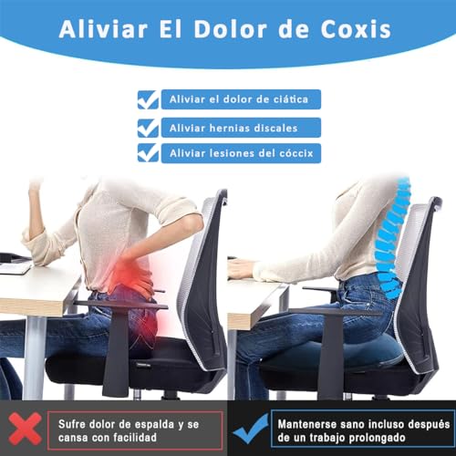 La Mejor Lista de Dona Ortopedica Walmart los preferidos por los clientes. 8 Dona Ortopedica Walmart marca AZYAAXZM (2)