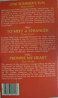 (3 Love Stories) One Summer's Fun/To Meet a Stranger/Promise My Heart B000FQDGHS Book Cover