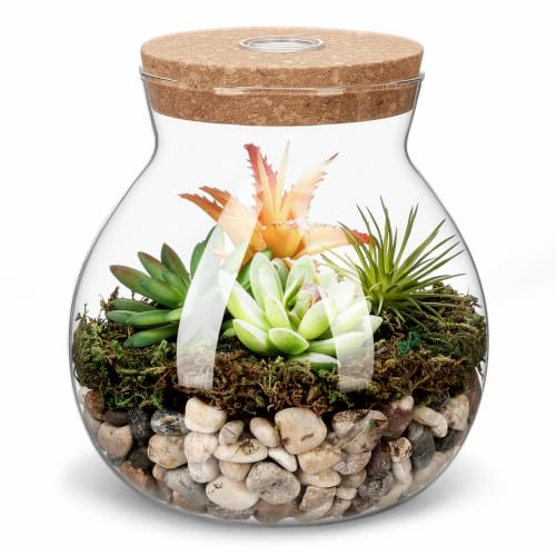 UKCOCO Flaschengarten Glas 15 cm Rundes Glasgefäß mit Kork Terrarium mit LED für Mikro-Landschaftsvase Aquarium Landschaftsflasche Leere Flaschen