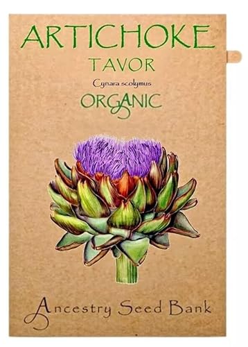 ANCESTRY SEED BANK Organic Artichoke â TAVOR â 10 