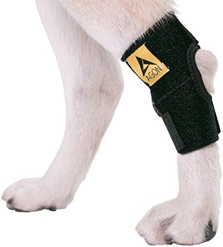 AGON® Dog Canine Rear Hock Joint Brace Compression Wrap with Straps Dog for Back Leg Protects Wounds. Heals Prevents Injuries and Sprains Helps with Loss of Stability Caused by Arthritis (Medium)
