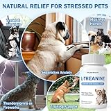 L-Theanine Supplement for Dogs and Cats, 50mg, 90 Chewable Tablets, Helps Keep Pets Calm & Relaxed