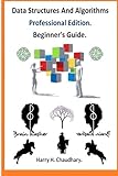 Data Structures and Algorithms Professional Edition.: Beginner's Guide.