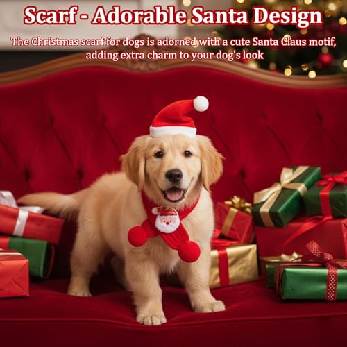 Set de sombrero y bufanda de Santa para perro grande miniatura 5