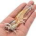 Lixada 3/5pcs 12 cm/21 Noctilucentes Pesca Camarones Señuelo Cebo de Calamar de...