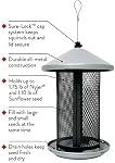 Perky-Pet Feeder de graines d'oiseaux sauvages à deux mailles - Ça tient jusqu'à 2.85 lb Graines d'oiseaux sauvages - Dual Compartiment pour les graines et le chardon - TSS00349