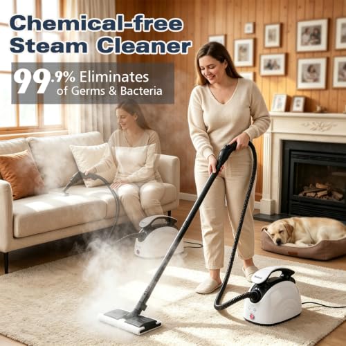 Image of Waitbird 4.5 Bar 300F Steam Cleaner for Bathroom, Kitchen, Floor & Grout