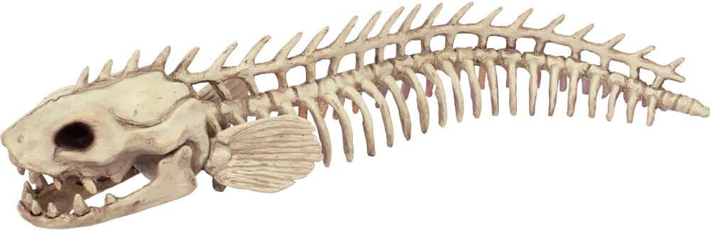 オマケ付 3点セット 38-kT THE SKELETON 38explore 38-kT THE SKELETON | 38explore
