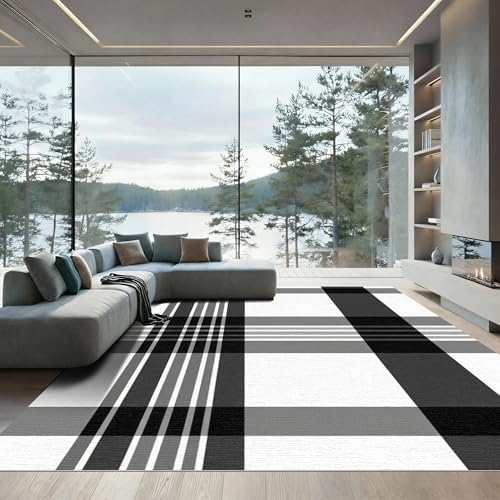 ODIKA Flatwoven High Traffic Area Rug 5x7, Chic Plaid Motif