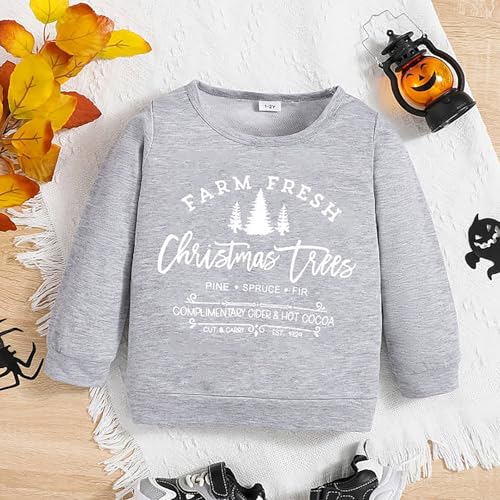 Boys and Toddlers' Fleece Hoodie Sweatshirt Autumn Winter Children's Hoodie Christmas Theme Printed Lightweight3