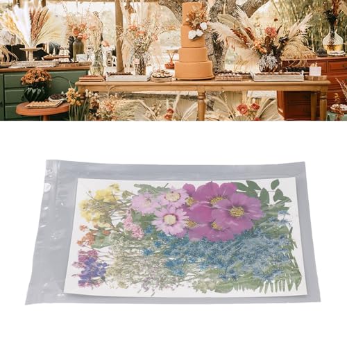 110 piezas flores prensadas secas para manualidades miniatura 2