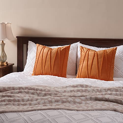 Top Finel Burnt Orange Spring Decorative Square Throw Pillow Covers 20 X 20 Inch Minimalist Soft Particles Velvet Solid Rust Plain Cushion Covers For Couch Bedroom Car Fall 50 X 50 Cm,Pack Of 2 #TOP5