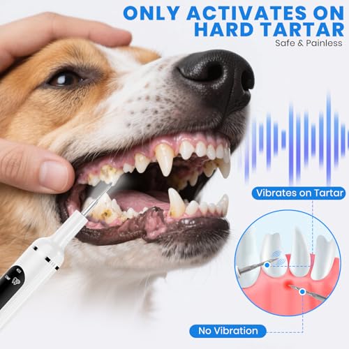 Dog Plaque Remover for Teeth,Pet Tooth Cleaner with LED Light,Cleaning Kit for Tartar and Stains,5 Adjustable Modes,Pet Teeth Cleaning kit,Suitable for Dogs and Cats (White) - Image 3