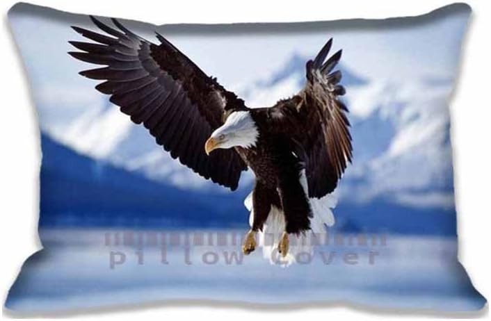 Custom Design Bald Eagle Pillow Cases Zippered , Standard Queen Size Animals Pillowcase - 16x24inch Birds Cushion Covers Two Size Print