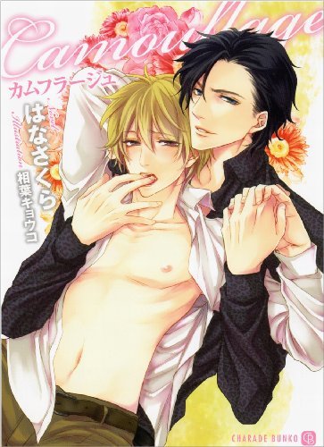 『カムフラージュ 特別版』