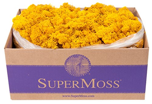 SuperMoss 21786 Reindeer Moss Preserved Black Appx. 3 lb Bulk Case product thumbnail 14