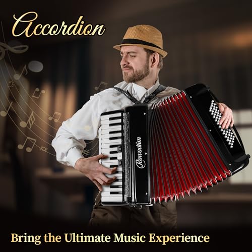 Rowadtim M1-91-1 Accordion, 30 Key 60 Bass Accordion thumb #1