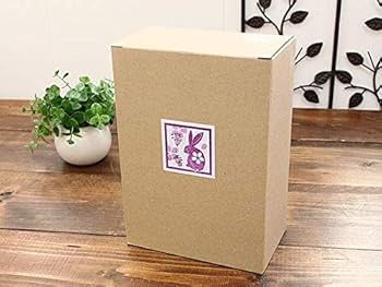 Amazon.co.jp: 凛香立ち人形 華兎 赤 曲名 ありがとう