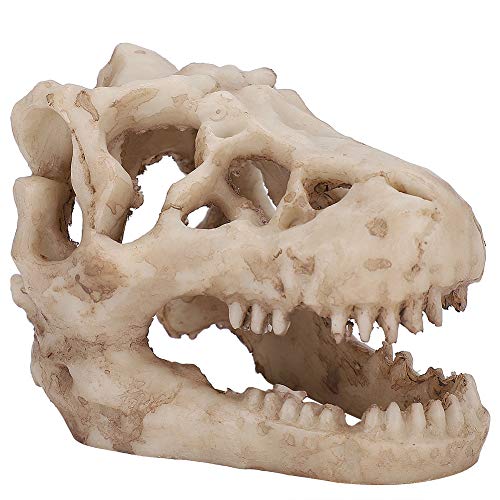 Zerodis Adorno de Acuario, Resina Artificial Dinosaurio Forma de Calavera Adorno...