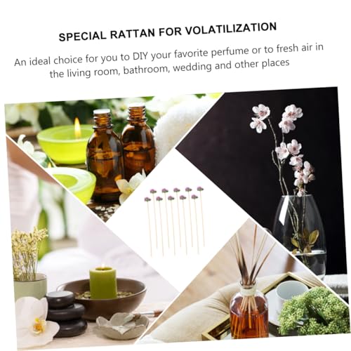 Set de 10 varillas de aroma de ratán natural para difusor miniatura 3