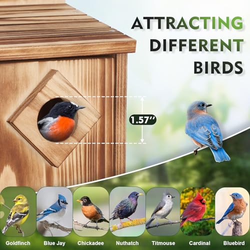 Gtongoko-Bird-Houses-for-Outside-Clearance-1-35-Entrance-Hole-Wood-Blue-Birdhouses-for-Outdoors-with-Air-Vents-Easy-to-Clean-Carbonized-Wooden-Nesting-Box-for-Cardinals-Swallows-Finches-Chickadee Gtongoko Bird Houses for Outside Clearance 1 35 Entrance Hole Wood Blue Birdhouses for Outdoors with Air Vents Easy to Clean Carbonized Wooden Nesting Box for Cardinals Swallows Finches Chickadee