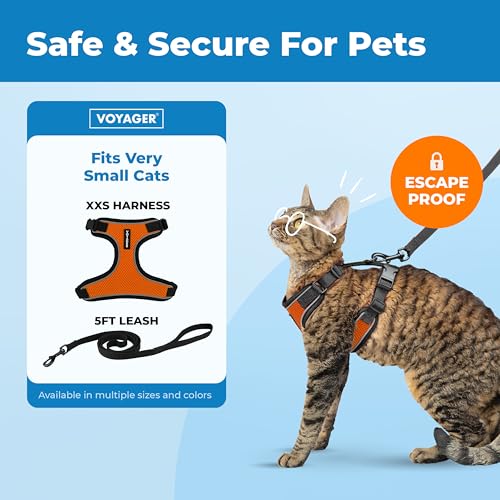 Image of Voyager Escape-Proof Step-in Lock Cat Harness & 5ft Neoprene-Handle Leash Set All-Weather Mesh with Reflective Stitching for Small to Large Cats by Best Pet Supplies, Black Trim-Orange (327), XXS