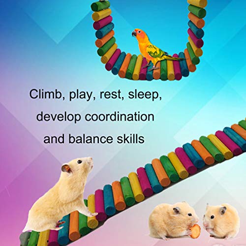 Hamiledyi Hamster Rainbow Bridge,Flexible Bendy Climbing Ladder Hanging Wooden Chew Toy For Bird Parrot Guinea Pig Chinchilla Chipmunk Sugar Glider Gerbil Mice Squirrel Small Animal(Pack Of 2) #TOP2
