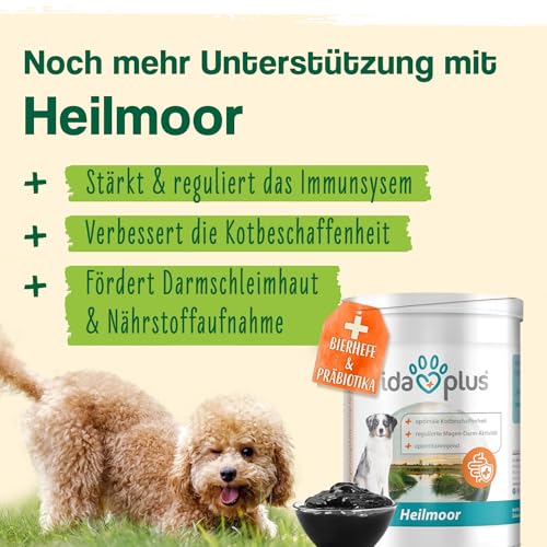 Ida Plus Darmbiotic Pulver – Probiotika zur Darmsanierung für den Hund + Präbiotika - Darmflora aufbauen nach Durchfall - gesunde aktive Darmbakterien – Immunsystem – Regulierung Verdauung – 180g