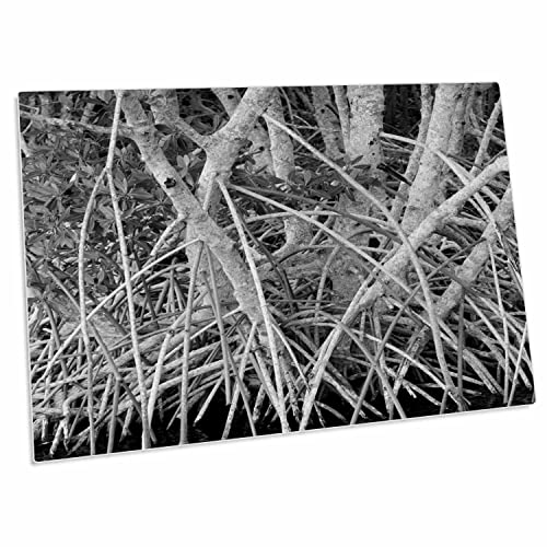 3dRose Florene Black n White - Mangrove Roots - Pad de Escritorio