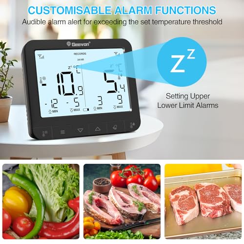 Thermomètre numérique Geevon pour réfrigérateur et congélateur compact avec pile CR2032 inclus - 2