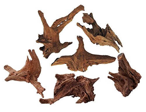 MANGROVE AQUARIUM WOOD (x1 PIECE) - ROOT SIZE 20-30cm (IWAGUMI AQUASCAPING BOGWOOD DRIFTWOOD)