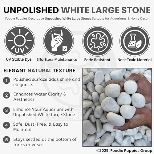 Image of Foodie Puppies Unpolished White Stone (5Kg, Large) (5cm-7cm) for Aquarium /Fish Tank, Garden, Swimming Pool, Pots, Home, Garden, and Lawn Decorative Pebbles /Marble (Pack of 2)