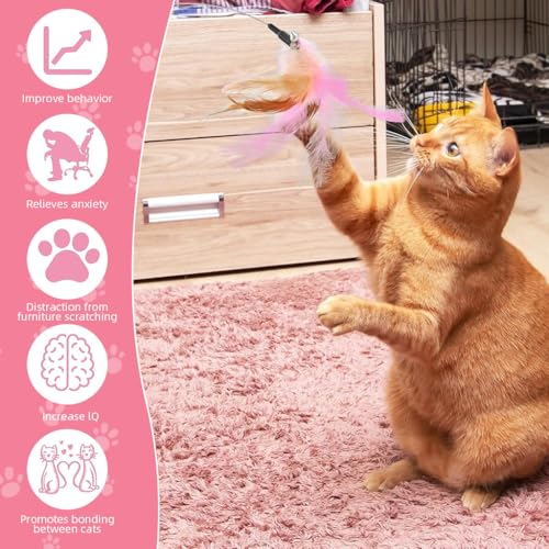 Image of Qpets Cat Toys, Cat Feather Collar with Teasing Toy, Adjustable Cat Collar Stylish Design Cat Interactive Toys, Elastic Toys for Kittens Funny Cat Playing Toys for Indoor (1Pcs, 20-32CM)