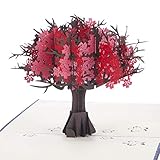 Unsere Pop-Up-Karte zum Rubinhochzeit ist das perfekte Geschenk, um ein Paar zum 40. Hochzeitstag zu gratulieren. 40 Jahre Ehe verdient eine ganz besondere und einzigartige Karte, die einen bleibenden Eindruck beim Empfänger hinterlassen wird. Auf der Titelseite steht „Ruby Weddings Deserve Celebrating“ (Rubinhochzeiten verdienen es, gefeiert zu werden), was definitiv stimmt.