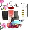 Smart Bird Feeder with Camera Smart Hummingbird Feeder AI Identify Cloud Storage CCPA Data Protection Unique Bee Ant Proof Design Google Login Idea Gift for Family Friends 20 Ounces