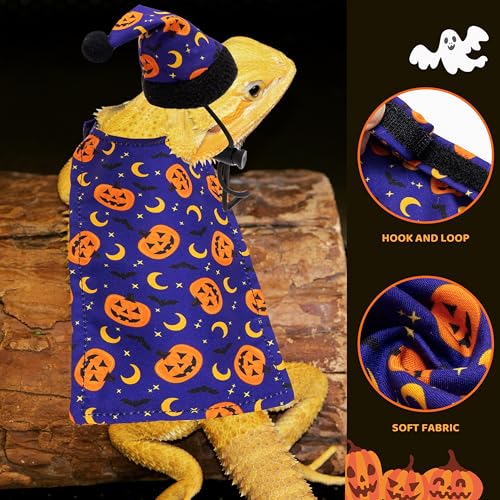 Disfraz Halloween para dragón barbudo con gorro azul miniatura 3