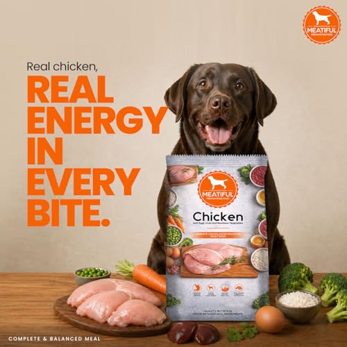 Image of Meatiful Adult Dry Dog Food 10kg | Chicken Flavour | Supports Strong Bones & Teeth | Boost Immune System | Healthy Skin & Coat