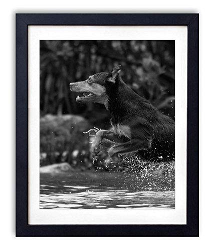 SwetopqSexy Lace Embroidery Anklet with Toe Floral Barefoot Sandals Slave Anklet Bridal Wedding Foot Jewelry