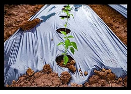 Siddhi Mulching Film with Hole Mulching Paper 30 Micron 3.25 Feet 1200mm 400 Meter (Center Hole)