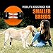 NeoAlly Super Supportive Dog Braces for Rear Hock Joint with Dual Metal Spring Strips Stabilize Canine Hind Legs from Wound Injury Sprains Arthritis (Medium Pair)